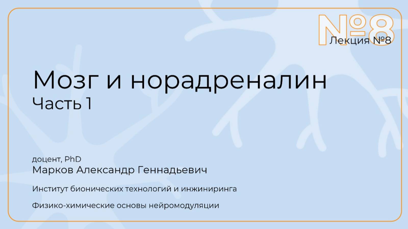 Александр Марков. Лекция 8. Мозг и норадреналин. Часть 1