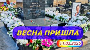 вновь появляются композиции из живых цветов на могиле Юрия Шатунова / Троекурово 11 марта 2025 года