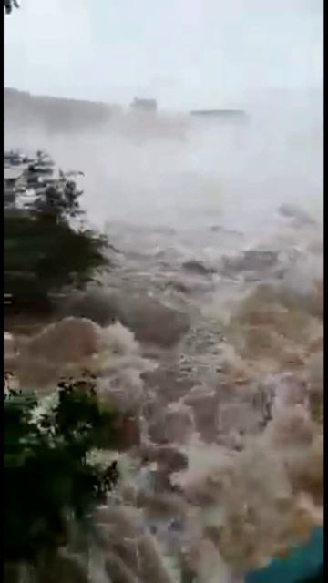 Bastidores Foz do Iguaçu - Paraná shorts  Brasil Cataratas do Iguaçu