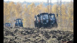 Пашут МНОГО ТРАКТОРОВ МТЗ-82.1 и МТЗ-920!