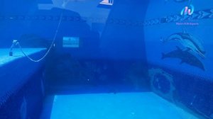 Aquaworld Diving