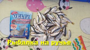 Рыбалка на ручье