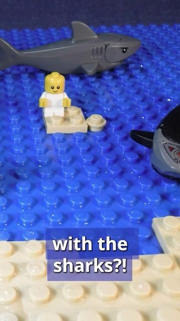 Six Gill Sharks Fun News for Kids смотреть онлайн