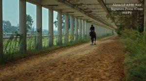 ARRI ALEXA LF / SXT / MINI in the same project