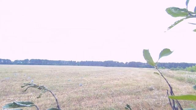 Охота на вяхиря смотреть онлайн