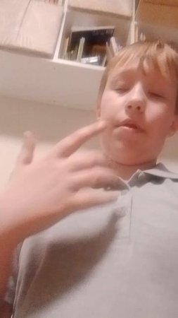 новости 24