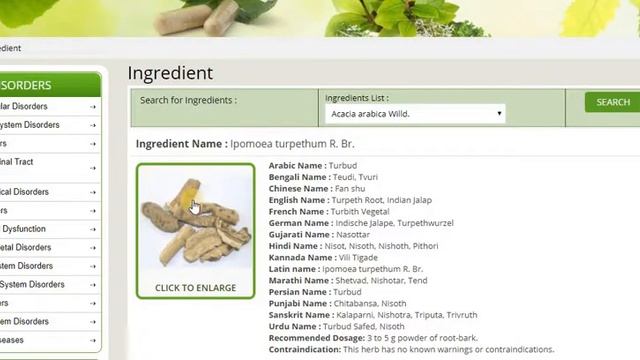 JOINTSPAIN смотреть онлайн