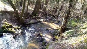 Эх..., ты ! Далёкое детское счастье... !