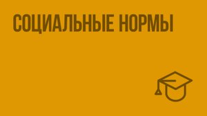 Социальные нормы. Видеоурок по обществознанию 7 класс