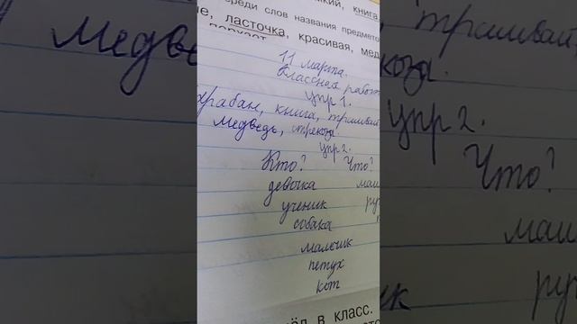 Проверка тетрадей по русскому языку/игра в учителя