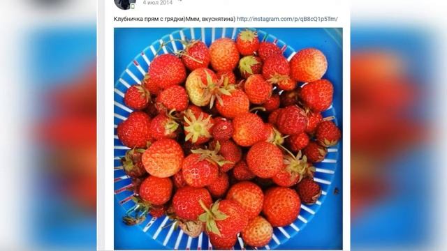 КАТЯ ВАРТАНОВА В Контакте 2018 смотреть онлайн