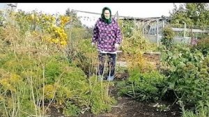 13.09.2024 Готовим дачу & огород к зиме/сентябрь 2024