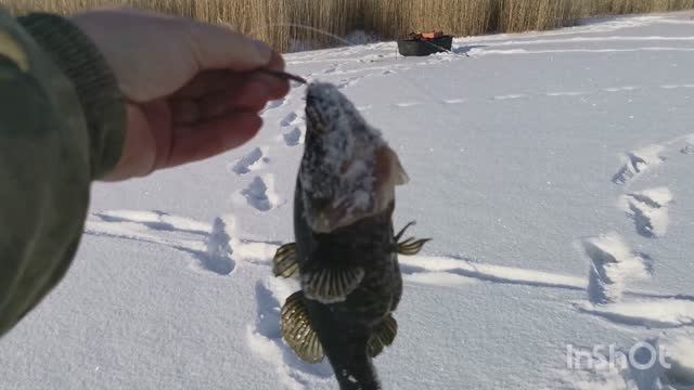Первый выезд на рыбалку. Ловлю ротанов. В поисках клёва.