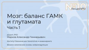 Александр Марков. Лекция 10. Мозг: баланс ГАМКи глутамата. Часть 1