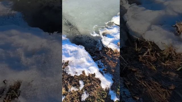 8 Марта - единение малых ручейков судеб в единый поток реки жизни, Мордовия. Марина Зиничева. МНШУ