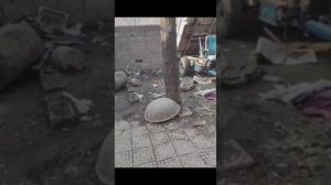 Смешная подборка животных 🐾