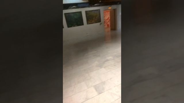 ВИДЕО ИЗ МУЗЕЯ С РаЗнЫмИ ЖИвотнымИ смотреть онлайн