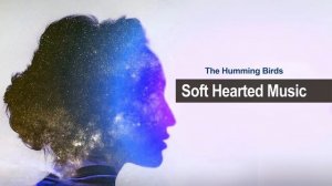 music meditation l soft hearted music I hummingbirds I music love