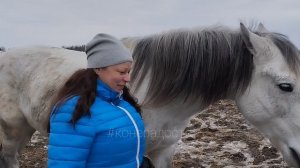 Любовь. Занятие с лошадью на свободе. КТК Конерадость. 8 марта 2025