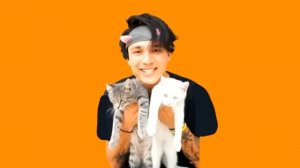 Holy Baam - Песня Про Котят