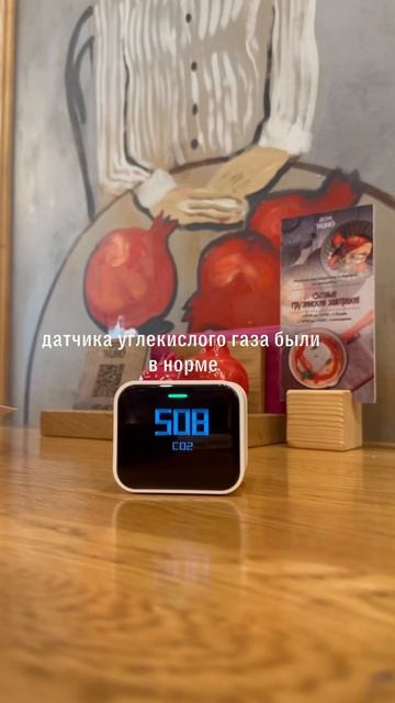 Да будет чистый воздух! Юля ревизор в деле #бизнес #здоровье #чистое #проверка #ревизор #воздух смотреть онлайн