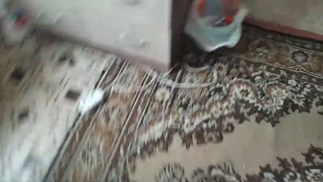 уборка на рабочем столе 😁👍🤣😙😚😘 смотреть онлайн