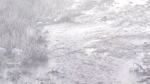 Rime Ice - A Beautiful Morning - 霧氷 4K(Ultra HD)