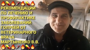 🔥💊🔥 Рекомендации по лечению и профилактике заболеваний у голубей от вет. врача Мартыненко В.В.