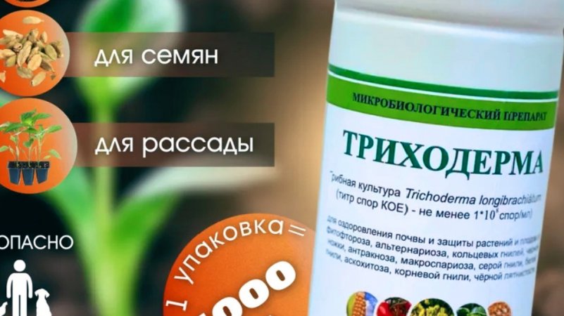 Это удобрение для Рассады НЕЗАМЕНИМО
