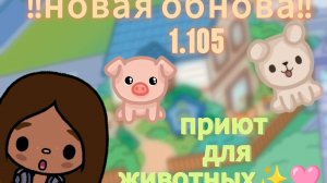 обзор на обновление 1.105 приют для животных /тока бока