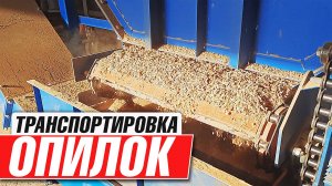 Скребковый транспортер с бункером для опила и щепы в реальной работе