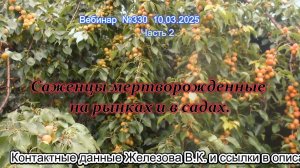 Железов Валерий. Вебинар 330. ч.2. Саженцы мертворожденные на рынках и в садах.