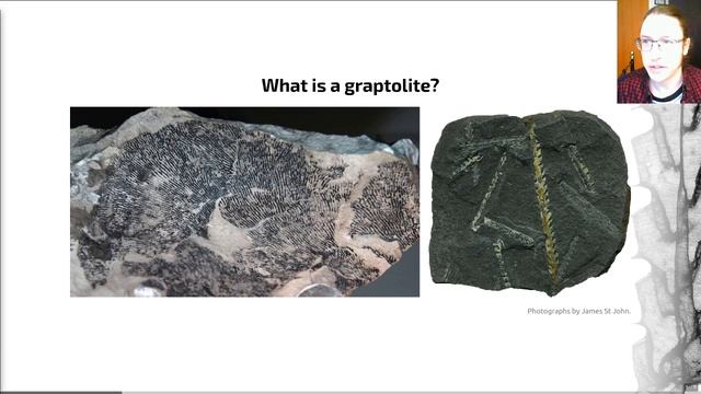 Graptolites, Video 1 - EART27201 - Sedimentary Rocks and Fossils смотреть онлайн