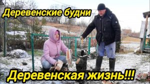 ПРИШЛИ МОРОЗЫ | Прибираем все во дворе | Дом в деревне | Деревенские будни
