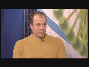 Формула здоровья Тонзиллит Профилактика и лечение