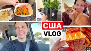США ВЛОГ С ПРАЗДНИКОМ! Всегда есть за что похвалить! Душещипательная история