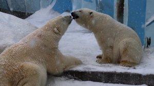 Кай и Герда первая встреча после долгой разлуки..