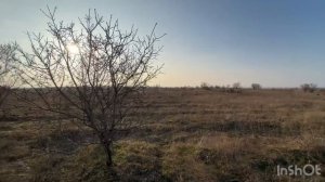 Береговое село