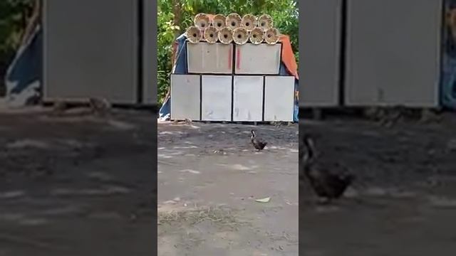 ma joghodha mata sound ☠️☠️☠️☠️ смотреть онлайн