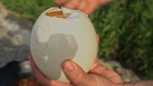 Мясо страуса приготовленное в казане на природе