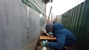 Кролики в вольере. Заселение