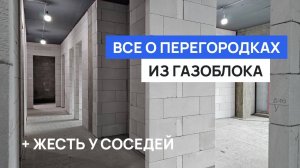 14 правил кладки перегородок. Тест турником. Звукоизоляция и стоимость. Газоблок или каркас?