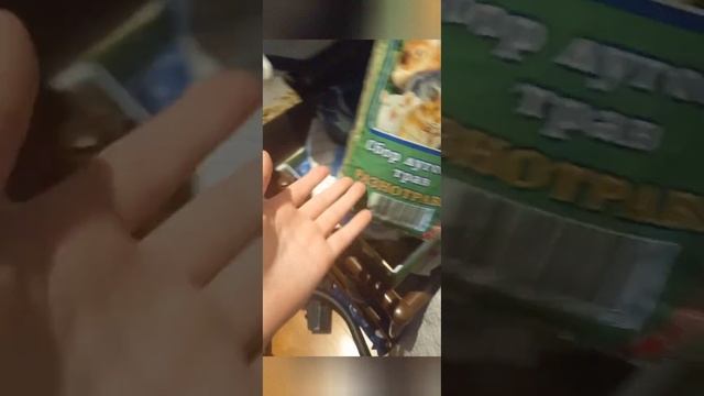 как правильно содержать шиншилл и дегу смотреть онлайн