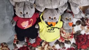 БАСИКИ В SPA! #Котики#Басики#вSPA