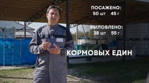 Результаты эксперимента по толстолобику