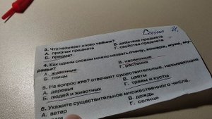 Анна Михайловна проверяет тетради учеников 2В! | русский язык | ролевая игра учитель | тема карточки