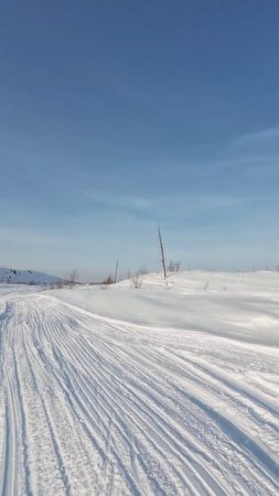 11.03.2025. Лыжная тренировка. День 2.