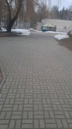 1000036954.mp4
