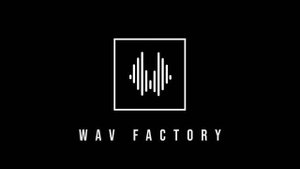 Motion Graphics Portfolio - Wav Factory Logo Reveal