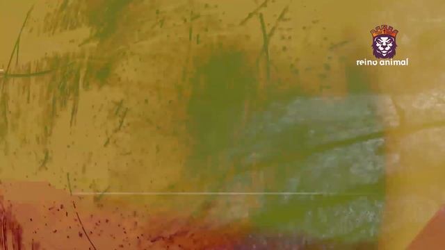 5 VEZES QUE COBRAS E CÃES SE ENCONTRARAM смотреть онлайн